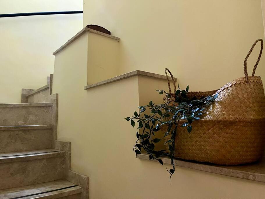 Apartamento Suite Alameda De Hercules Sewilla Zewnętrze zdjęcie