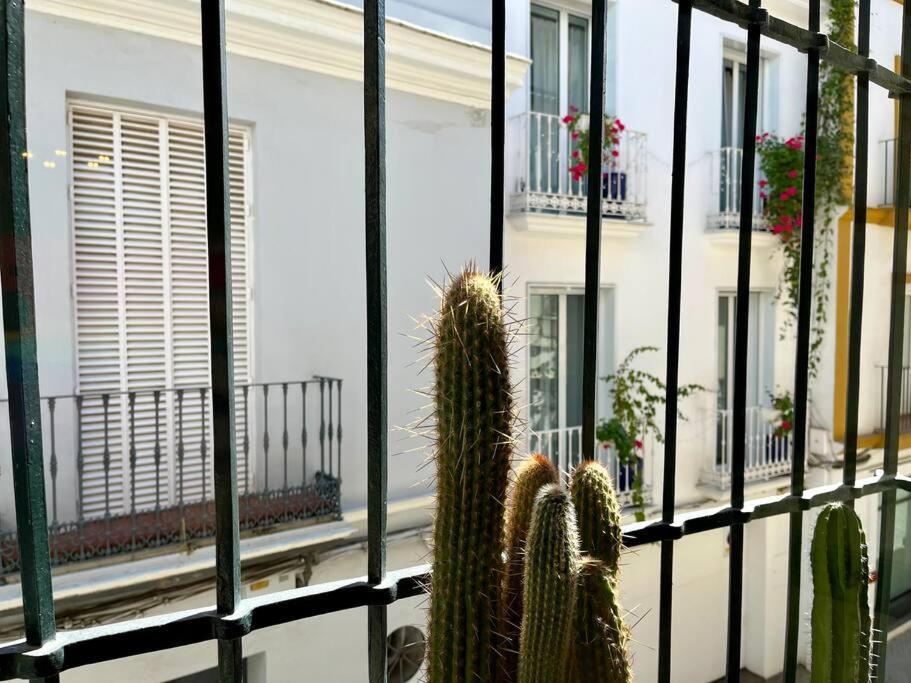 Apartamento Suite Alameda De Hercules Sewilla Zewnętrze zdjęcie